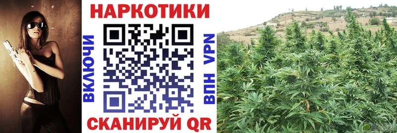 Цена Кемь Псилоцибиновые грибы  A-PVP  Мефедрон  КОКАИН  Амфетамин 