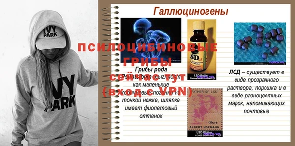 спиды Нефтегорск
