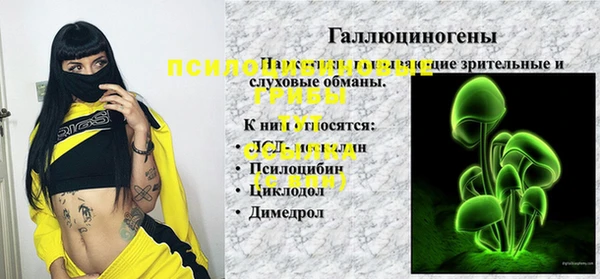 спиды Нефтегорск