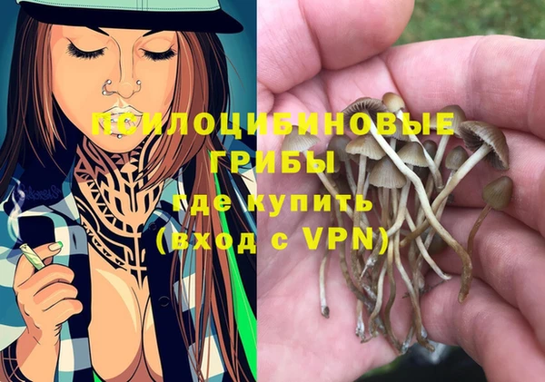 ALPHA PVP Дмитров