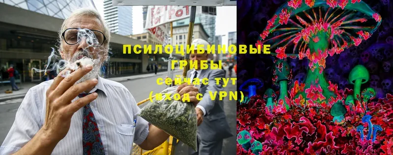 Псилоцибиновые грибы MAGIC MUSHROOMS  Кемь 