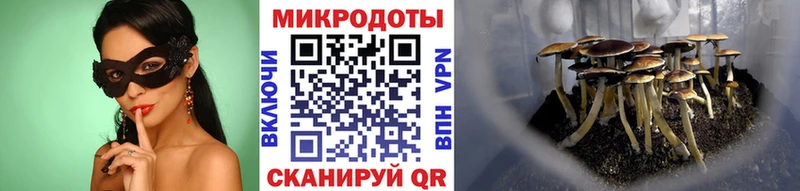 Псилоцибиновые грибы прущие грибы гидра сайт Кемь
